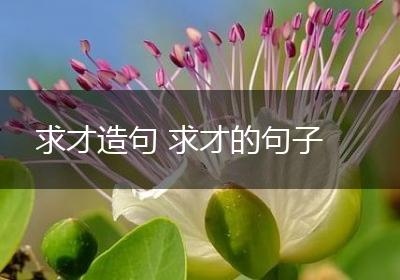 求才造句 求才的句子
