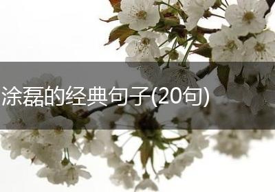 涂磊的经典句子(20句)