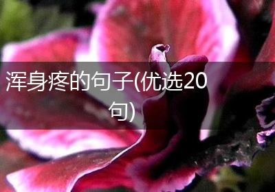 浑身疼的句子(优选20句)