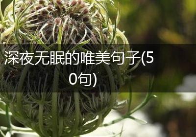 深夜无眠的唯美句子(50句)