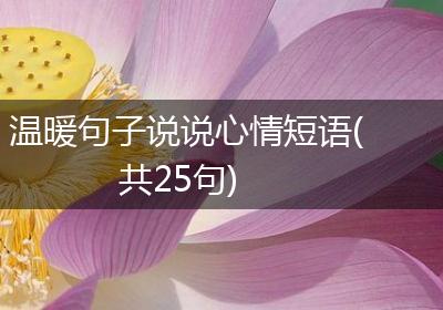 温暖句子说说心情短语(共25句)