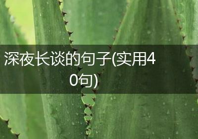 深夜长谈的句子(实用40句)