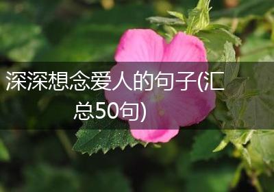 深深想念爱人的句子(汇总50句)