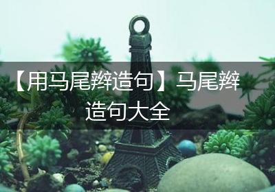 【用马尾辫造句】马尾辫造句大全