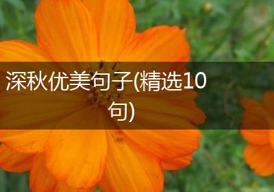 深秋优美句子(精选10句)