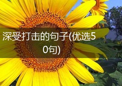 深受打击的句子(优选50句)