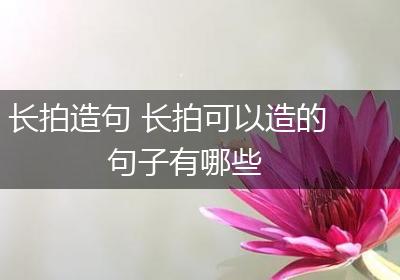 长拍造句 长拍可以造的句子有哪些