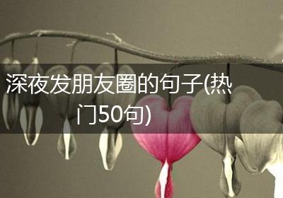 深夜发朋友圈的句子(热门50句)