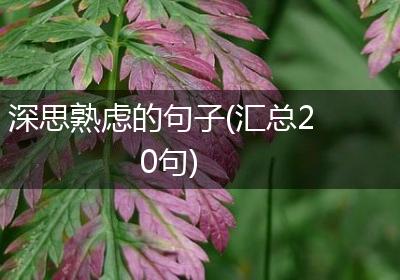 深思熟虑的句子(汇总20句)