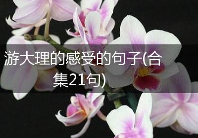 游大理的感受的句子(合集21句)