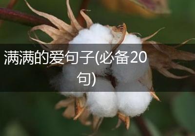 满满的爱句子(必备20句)