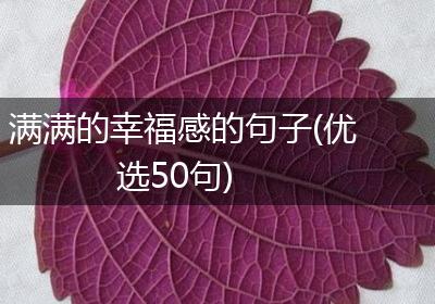 满满的幸福感的句子(优选50句)
