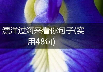 漂洋过海来看你句子(实用48句)