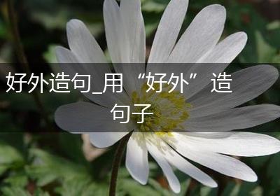 好外造句_用“好外”造句子