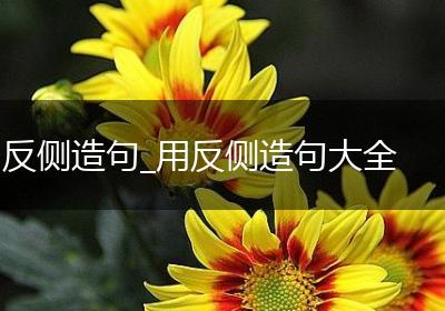 反侧造句_用反侧造句大全