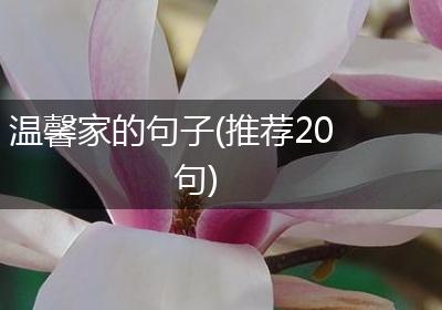 温馨家的句子(推荐20句)