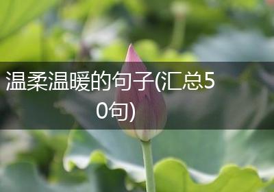 温柔温暖的句子(汇总50句)