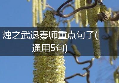 烛之武退秦师重点句子(通用5句)