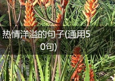 热情洋溢的句子(通用50句)