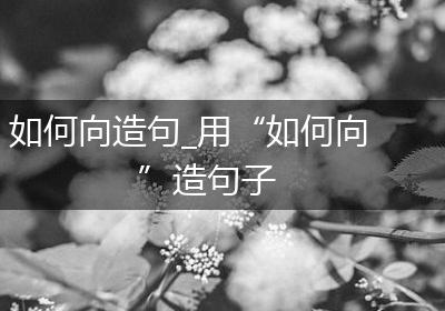 如何向造句_用“如何向”造句子