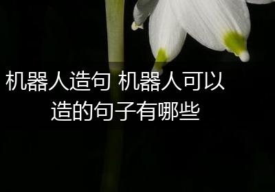 机器人造句 机器人可以造的句子有哪些