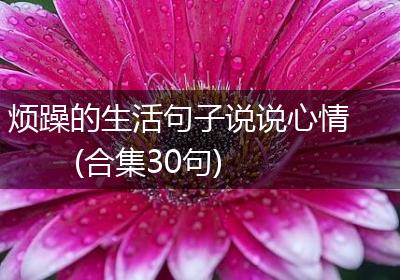 烦躁的生活句子说说心情(合集30句)