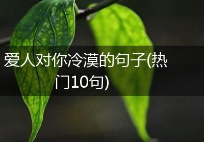 爱人对你冷漠的句子(热门10句)