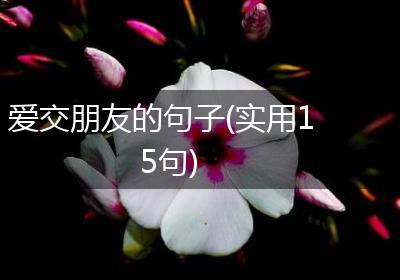 爱交朋友的句子(实用15句)