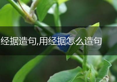 经据造句,用经据怎么造句