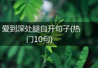 爱到深处腿自开句子(热门10句)