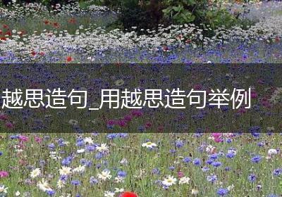 越思造句_用越思造句举例