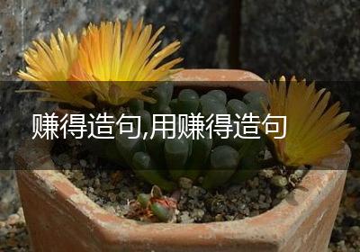 赚得造句,用赚得造句