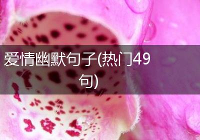 爱情幽默句子(热门49句)