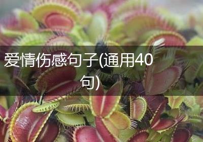 爱情伤感句子(通用40句)