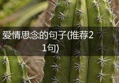 爱情思念的句子(推荐21句)