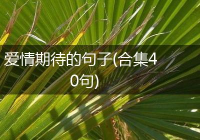 爱情期待的句子(合集40句)