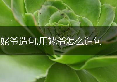 姥爷造句,用姥爷怎么造句
