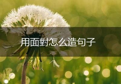用面對怎么造句子