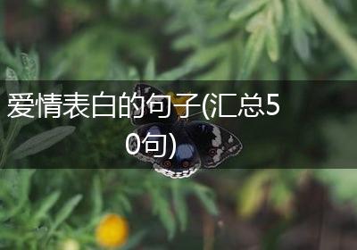 爱情表白的句子(汇总50句)