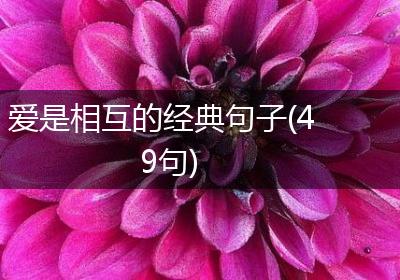 爱是相互的经典句子(49句)