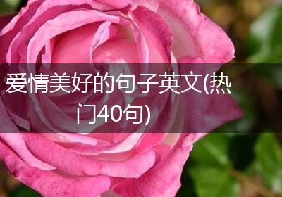 爱情美好的句子英文(热门40句)