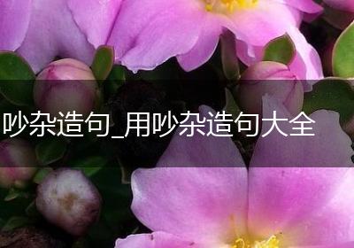 吵杂造句_用吵杂造句大全