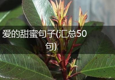 爱的甜蜜句子(汇总50句)