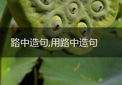 路中造句,用路中造句