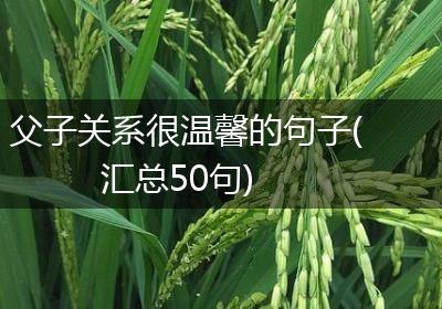 父子关系很温馨的句子(汇总50句)