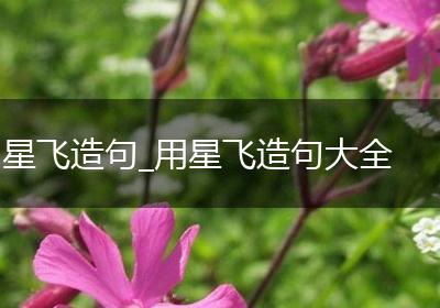 星飞造句_用星飞造句大全
