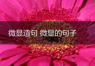 微显造句 微显的句子