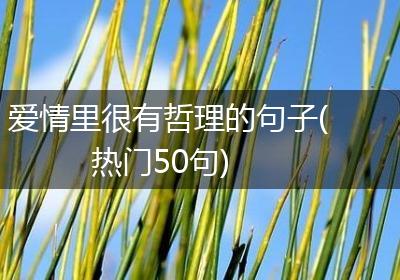 爱情里很有哲理的句子(热门50句)
