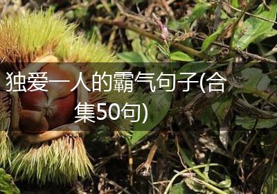 独爱一人的霸气句子(合集50句)