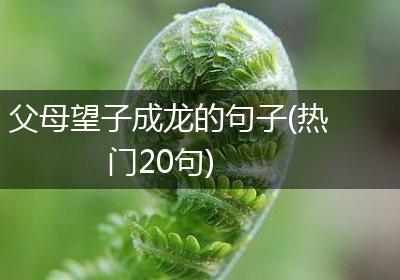 父母望子成龙的句子(热门20句)